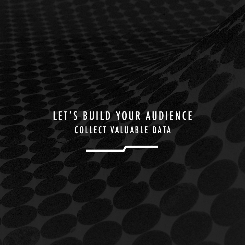 BUILD YOUR AUDIENCE